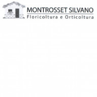 Lokgo azienda Montrosset Silvano